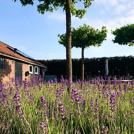 Achthuizen Lavender Lodge מראה חיצוני תמונה